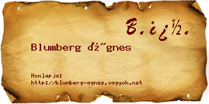 Blumberg Ágnes névjegykártya
